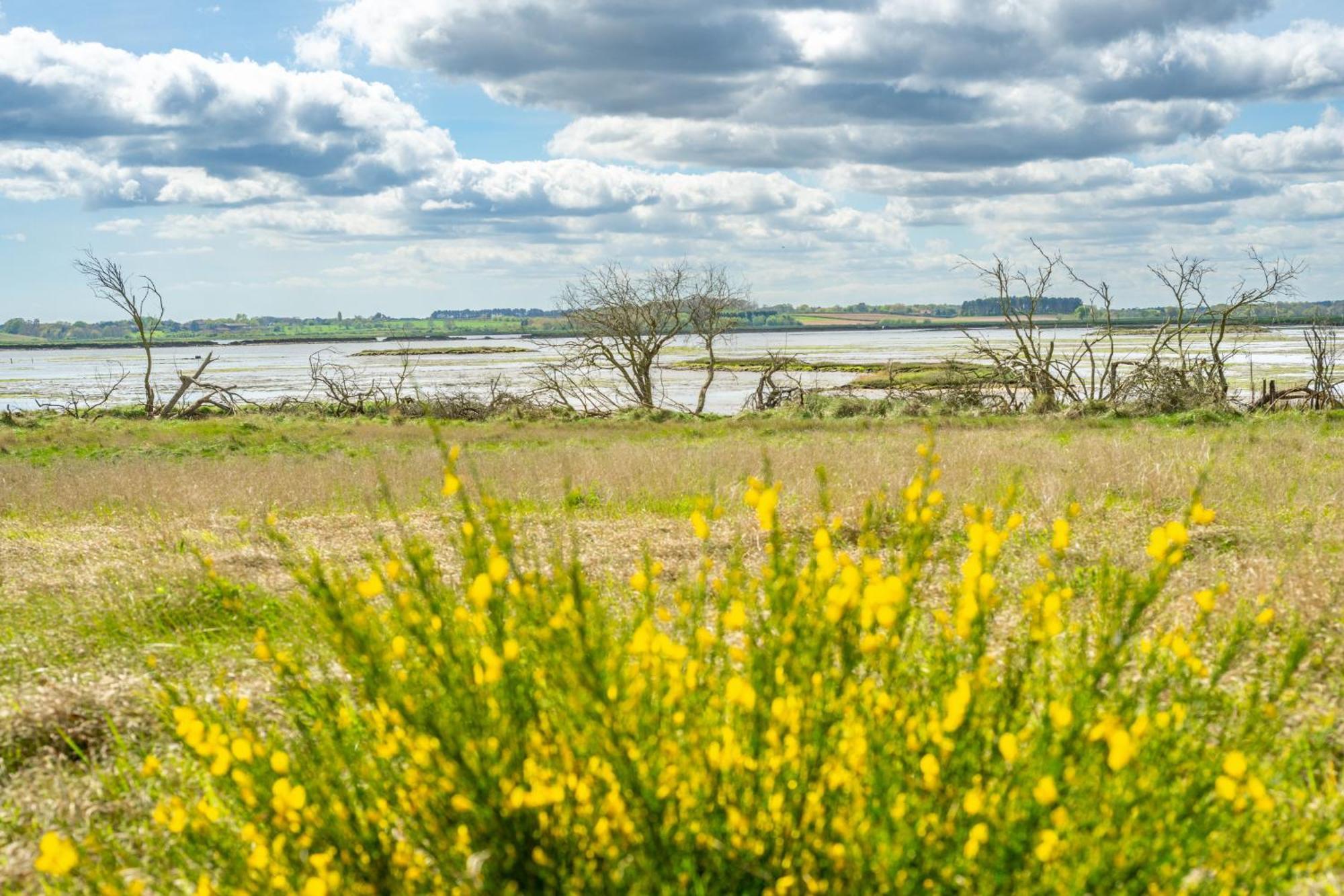 Villa Marsh View à Aldeburgh Extérieur photo